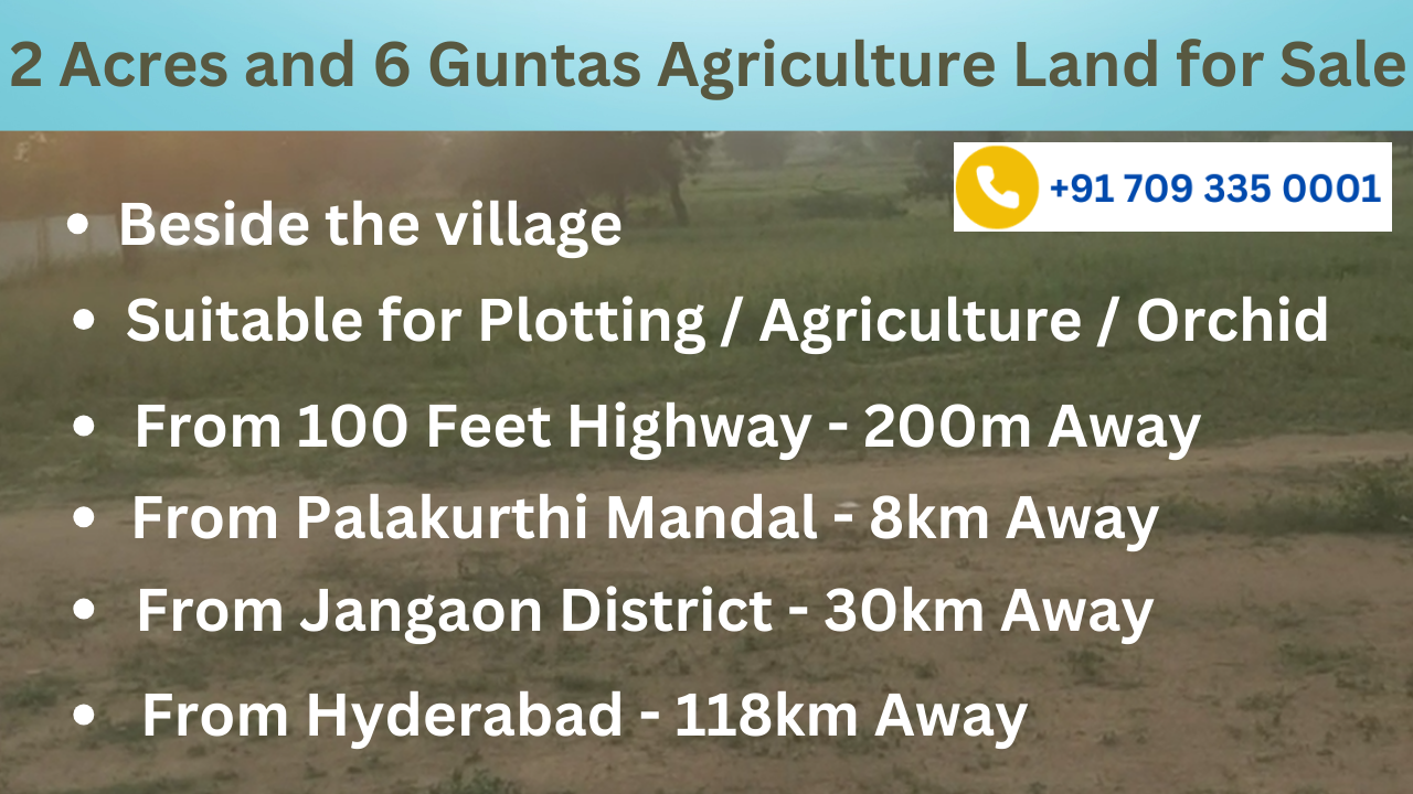 2 Acres and 6 Guntas Farmland or Agriculture Land for Sale in Palakurthi, Jangaon, Telangana