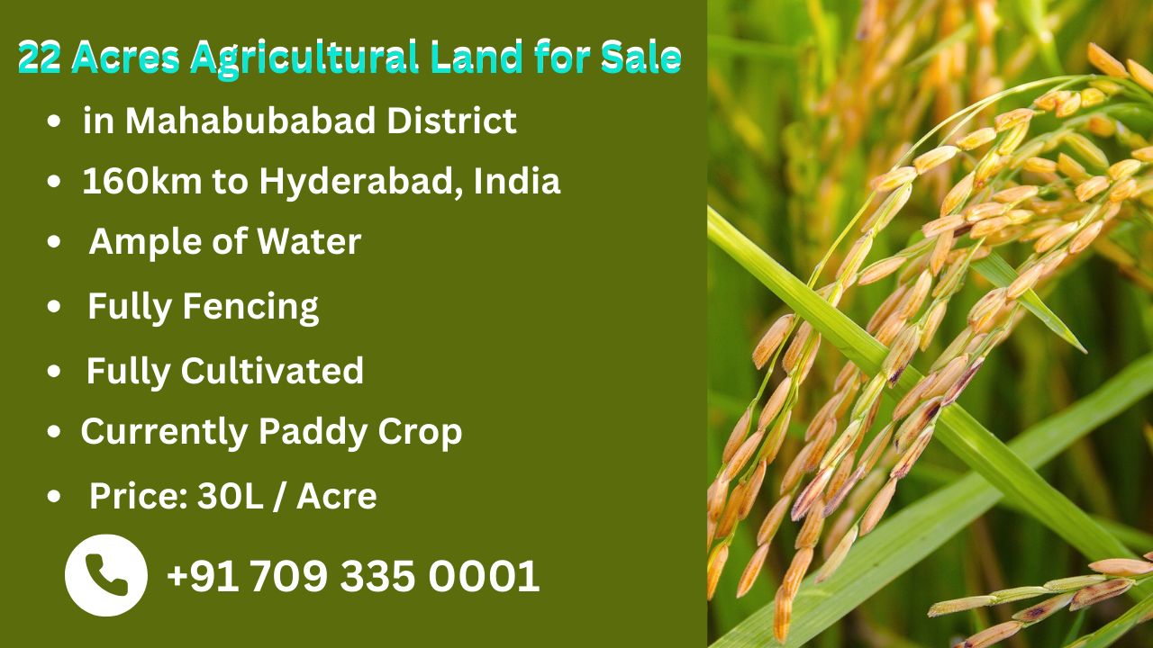 22 Acres Agricultural Land for Sale - 30L per Acre & Negotiable - Clear Title Property
