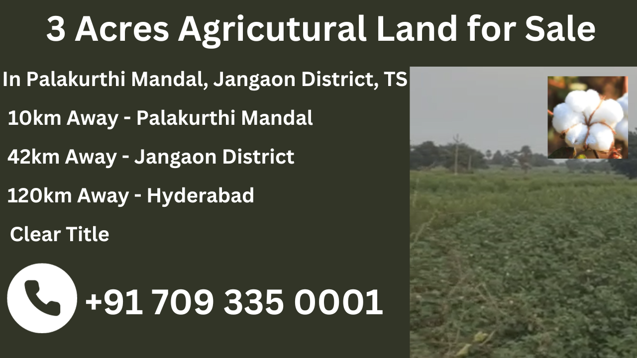 3 Acres Farmland or Agriculture Land for Sale in Palakurthi, Jangaon, Telangana